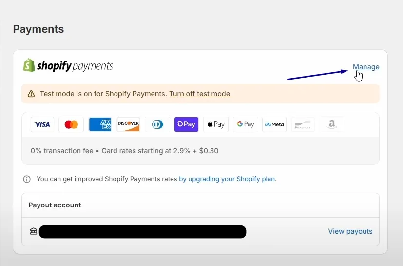 Edit Bank Account Information For Shopify Payments Payouts 2